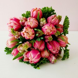 Double tulips