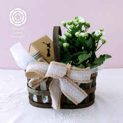Kalanchoe Plant and Handmade Soy Handle Gift Set