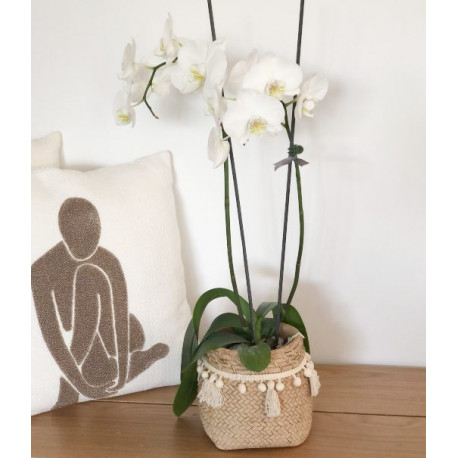 Phalaenopsis Pot with Angel Decoration in Wooden Planter