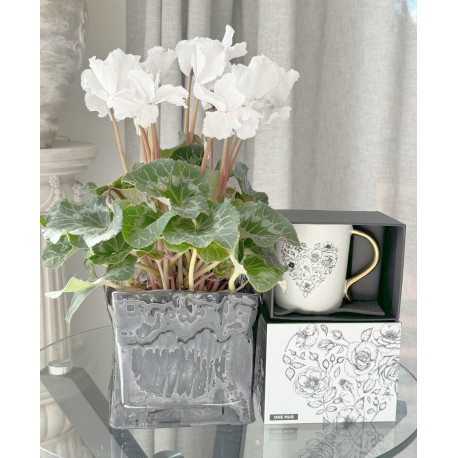 CYCLAMEN PLANT & ROSE HEART MUG WITH GOLD HANDLE, GIFTBOXED
