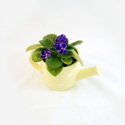 Yellow and Green in a vase