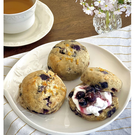 🍋 Vegan Gluten-Free Lemon Blueberry