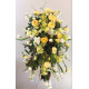 Esile Arrangement